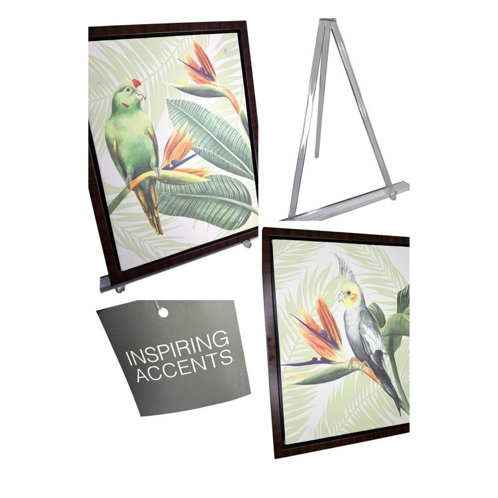 Set of 2 Tropical Bird Framed Wall Art Prints Amazon Parrot & Cockatiel w Easels